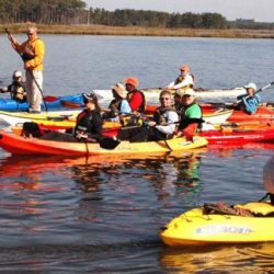 cancer paddle8