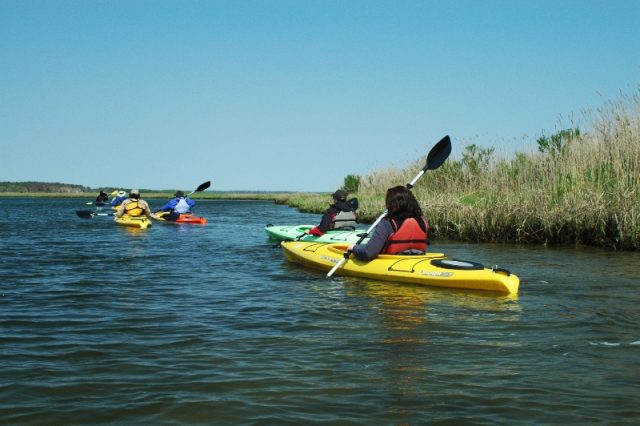 burtons island tour 2