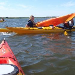 beginner rescue photo 1