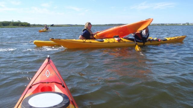 beginner rescue photo 1