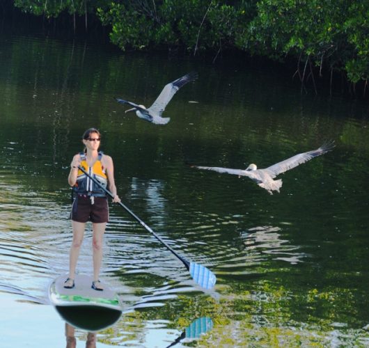 sup tour pelican web