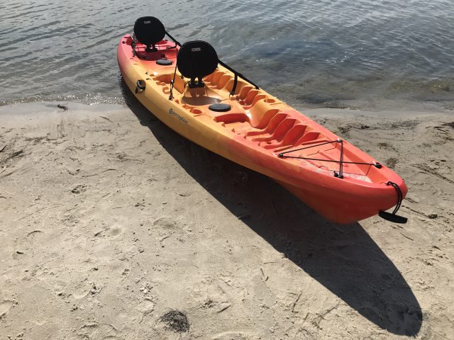 IMG 3945