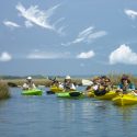 kayak tours