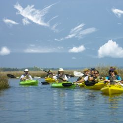 kayak tours