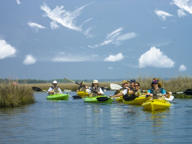 kayak tours