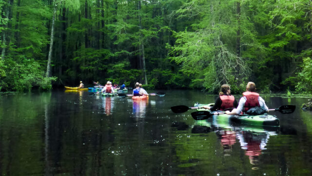 Kayak tour with Coastal Kayak