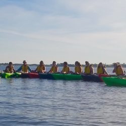 tide camp 2016