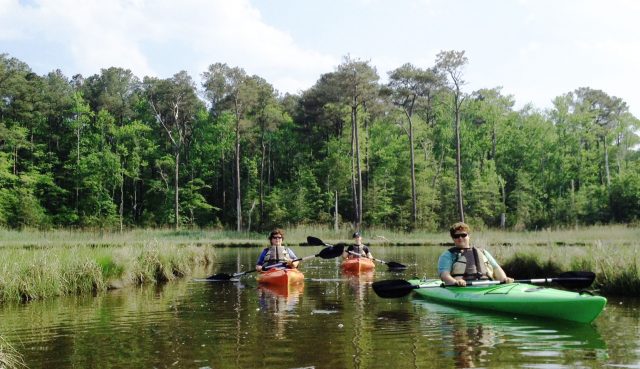 little assawoman crop