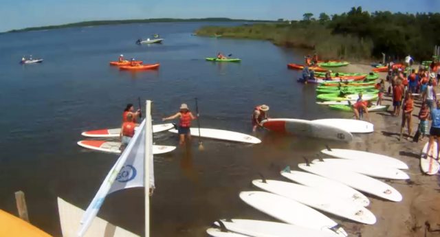 paddleboard beach