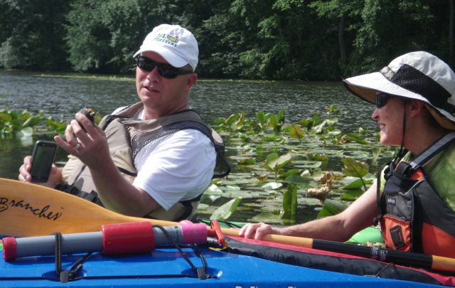 millsboro baby turtle