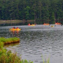 wildlife refuge tour