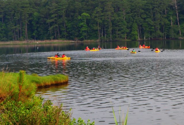 wildlife refuge tour