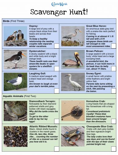 Coastal Kayak Scavenger Hunt-3