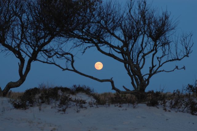 moon rise assateague2 web