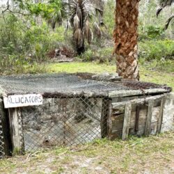 gator cages