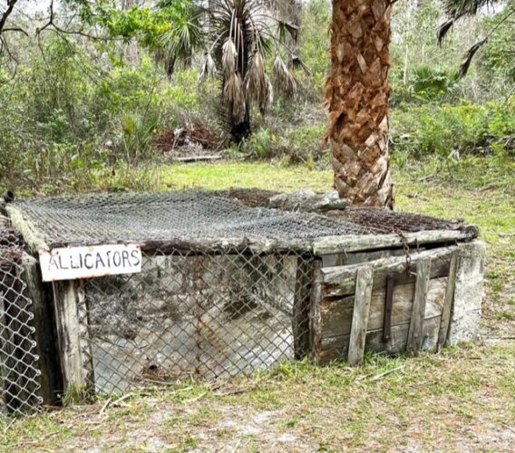 gator cages
