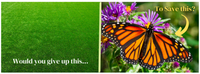 Would you give up this