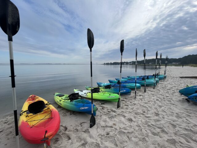kayaks on the beach