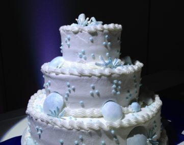 spolight illumitates multi-tiered wedding cake on table