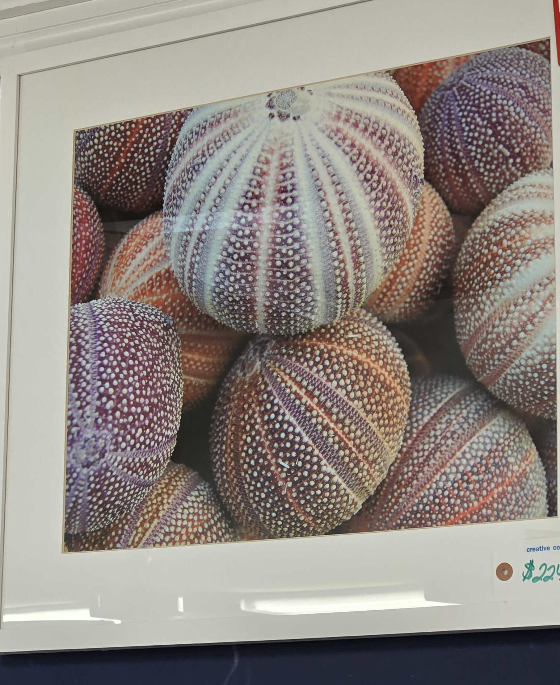 a picture of a bunch of balls hanging on a wall