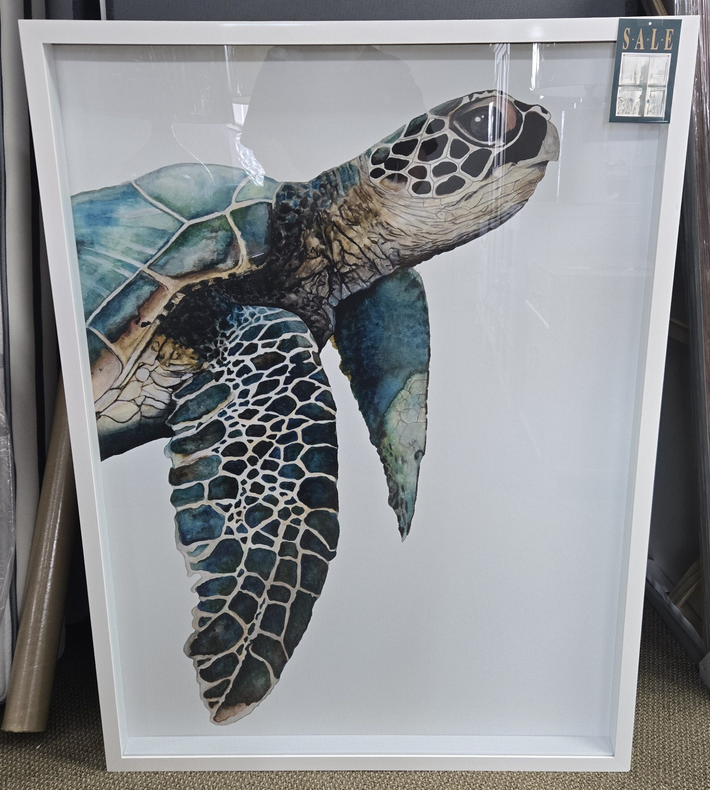 a picture of a sea turtle in a frame