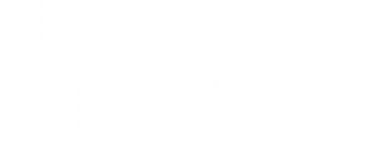 Google partner logo
