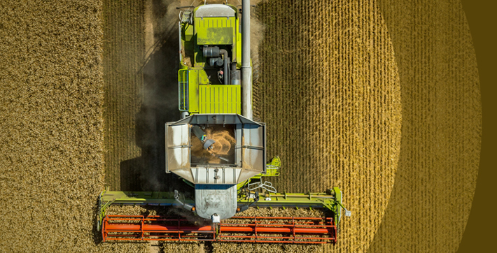 Farming equipment collecting crop