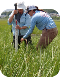 Partnership for the Delaware Estuary two women in tall grass working on a study in Delaware