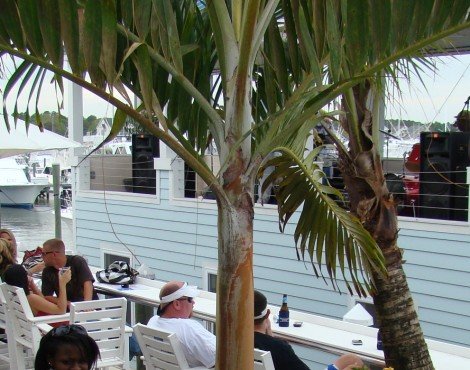 Sunset Grille