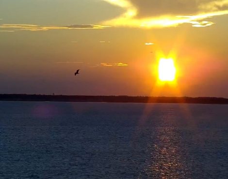 Ocean City MD Sunset Cam 2