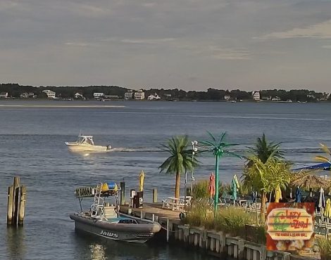 Downtown Ocean City Bay Cam