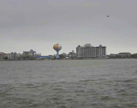 Hooper’s – Sneaky Pete’s South