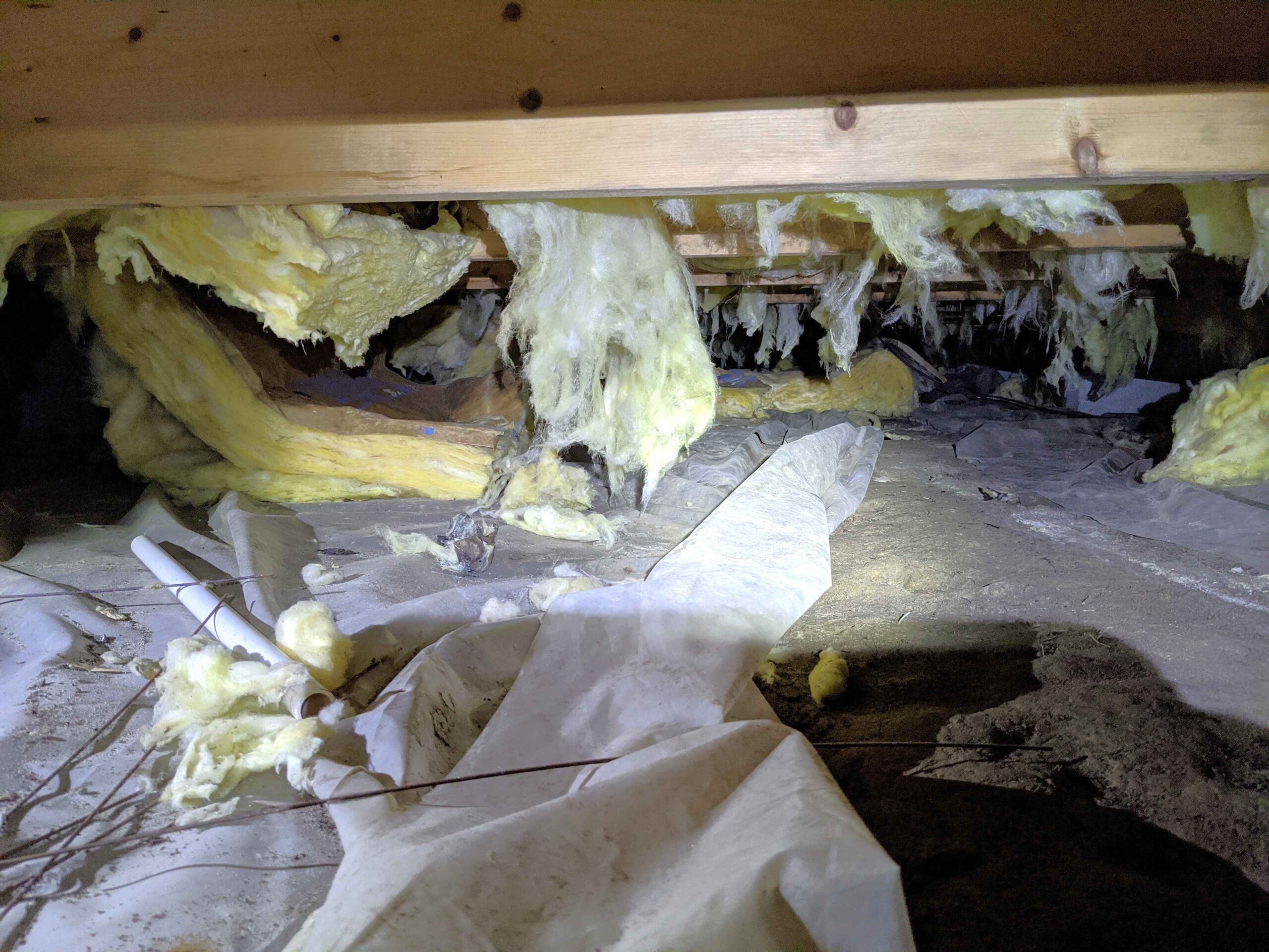 crawl space with falling insulation