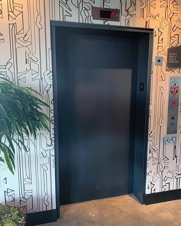 a black and white wall with a door and a plant
