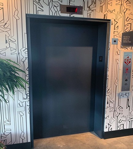 a black and white wall with a black door and a plant