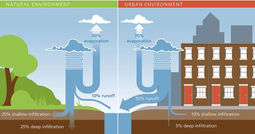 a graphic showing how stormwater interacts in the natural and urban environments