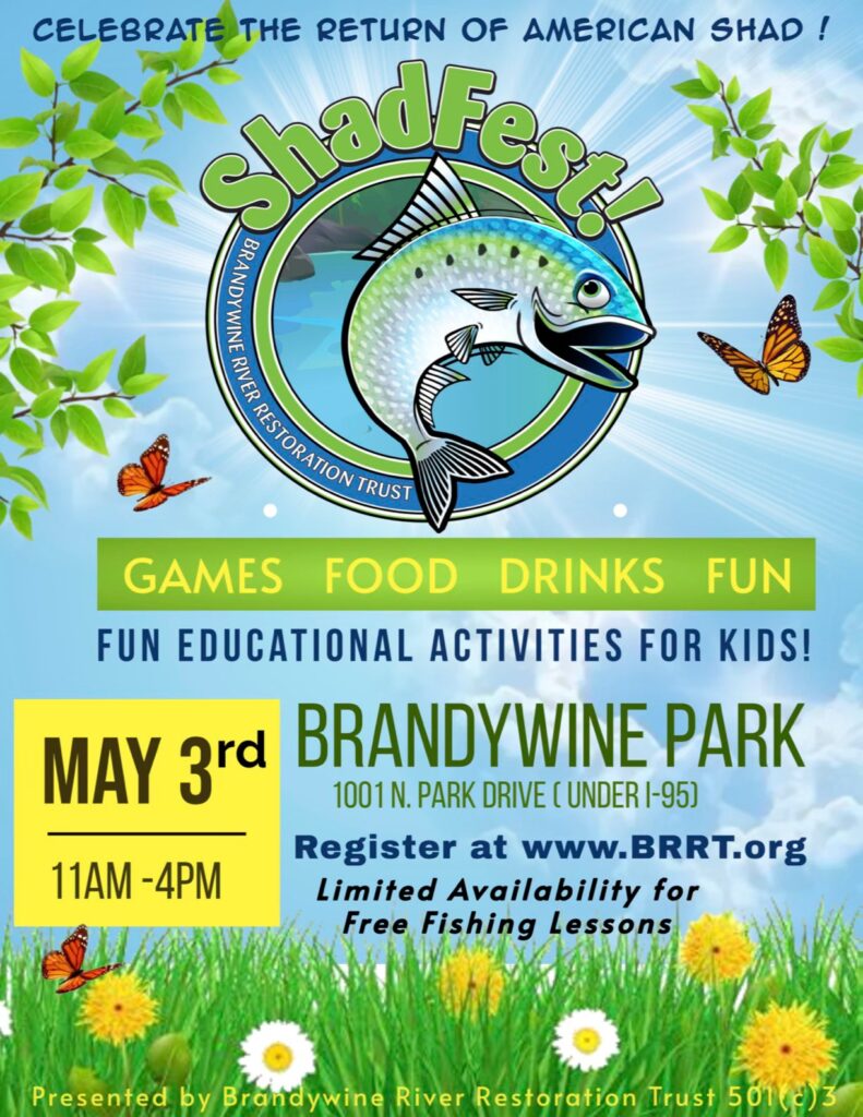 a flyer for a fish festival with a picture of a fish