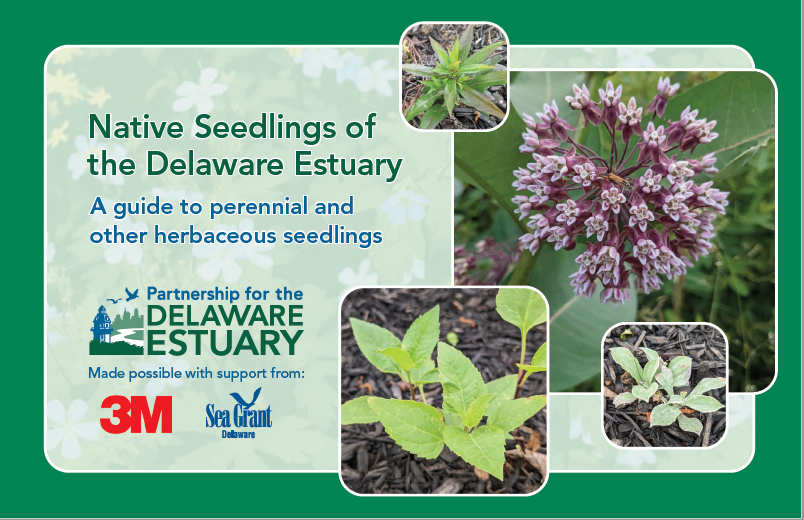 a brochure with pictures of plants and flowers