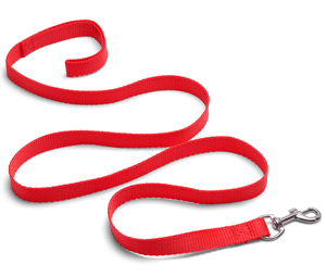 Leashes