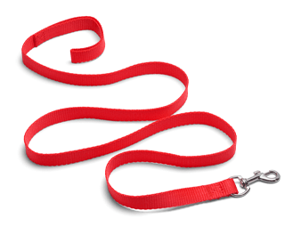 Leashes