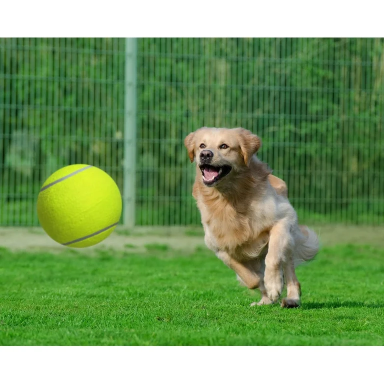 a dog running towards a tennis ball on the grass