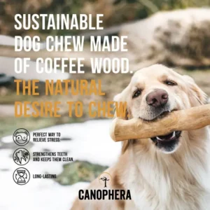 a dog holding a wooden stick in its mouth