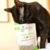 Catnip N Chill Crunchy Cat Treats - Image 3