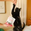 More Lobster, Cheese Crunchy Cat Treats - Image 2