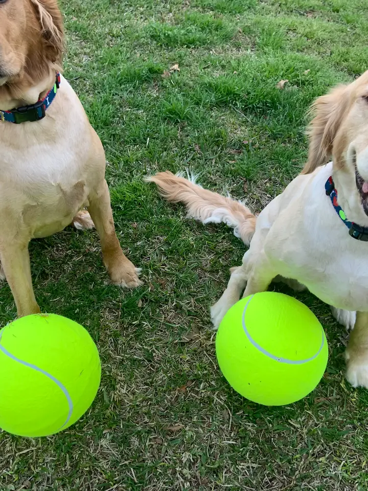 JUMBO TENNIS BALL - Image 3
