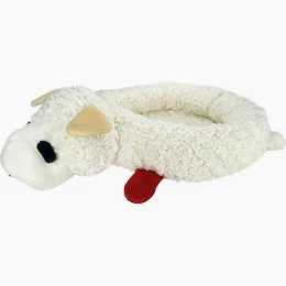 a white sheep with a red nose laying down