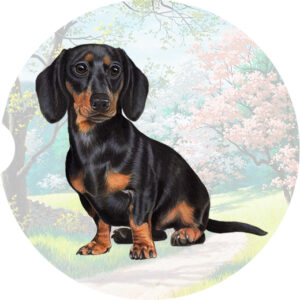DACHSHUND, BLACK AND TAN STANDING CAR COASTERS