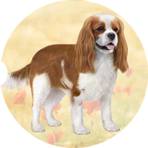 CAV KING CHARLES TRI COLOR, STANDING CAR COASTERS