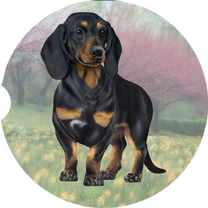 DACHSHUND, BLACK CAR COASTERS
