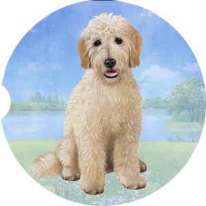GOLDENDOODLE SITTING CAR COASTERS